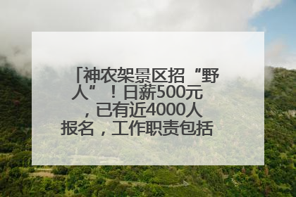 神农架景区招“野人”！日薪500元，已有近4000人报名，工作职责包括“接受游客投喂”